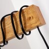 Barbengo Lámpara de Pie Madera clara, Negro, 2 luces