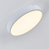 Broglen Lámpara de Techo LED Blanca, 1 luz