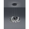 Lámpara Colgante Trio Leuchten CARRERA LED Negro, 1 luz