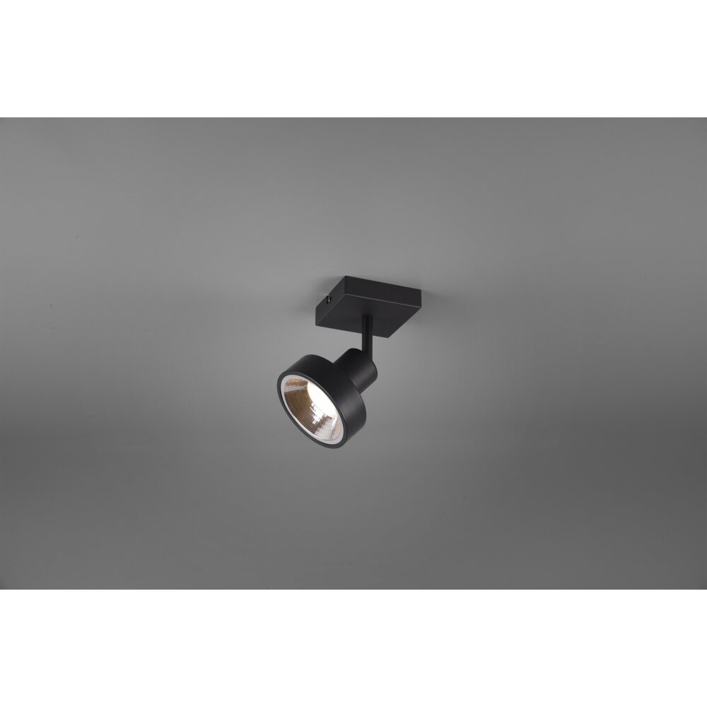 Trio Leon Proyector LED Negro, 1 luz main product photo