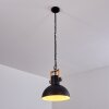 Chetco Lámpara Colgante Madera clara, Negro, 1 luz