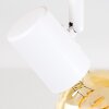 Barbengo Lámpara de Techo Madera clara, Blanca, 4 luces