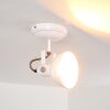 Tina Lámpara de Techo Blanca, 1 luz