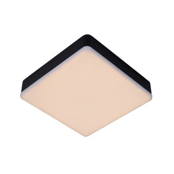 Lucide CERES-LED Lámpara de Techo Negro, 1 luz