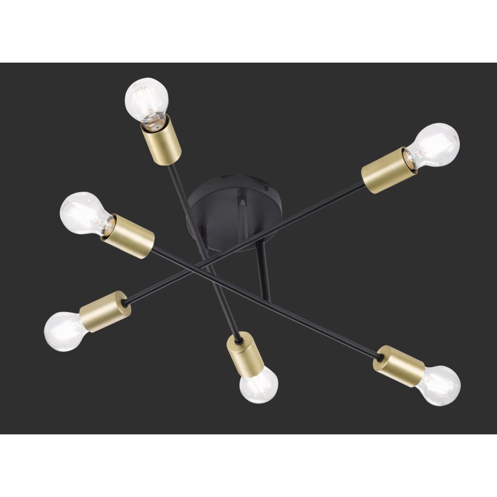Trio CROSS Lámpara de Techo Negro, 6 luces main product photo