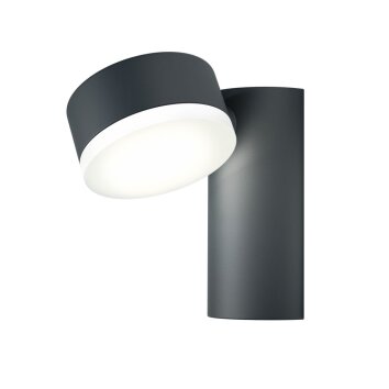 LEDVANCE ENDURA Aplique para exterior Negro, 1 luz