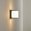 Buckau Aplique para exterior LED Antracita, Blanca, 1 luz