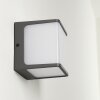 Buckau Aplique para exterior LED Antracita, Blanca, 1 luz