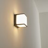 Buckau Aplique para exterior LED Antracita, Blanca, 1 luz