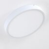 Broglen Lámpara de Techo LED Blanca, 1 luz