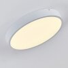Broglen Lámpara de Techo LED Blanca, 1 luz