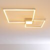 Narpes Lámpara de Techo LED Níquel-mate, 1 luz