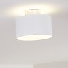 Baraboo Lámpara de Techo LED Níquel-mate, 2 luces