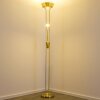 Rom Lámpara de pie LED Latón, 2 luces
