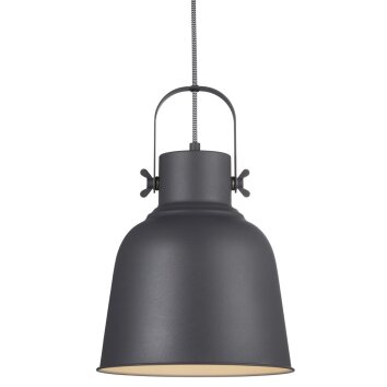 Nordlux ADRIAN Lámpara Colgante Antracita, 1 luz