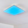 Antria Lámpara de Techo LED Blanca, 1 luz, Cambia de color