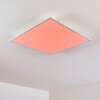 Antria Lámpara de Techo LED Blanca, 1 luz, Cambia de color
