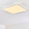 Antria Lámpara de Techo LED Blanca, 1 luz, Cambia de color