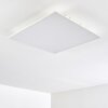 Antria Lámpara de Techo LED Blanca, 1 luz, Cambia de color