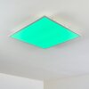 Antria Lámpara de Techo LED Blanca, 1 luz, Cambia de color