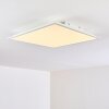 Antria Lámpara de Techo LED Blanca, 1 luz, Cambia de color