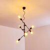Coppet Lámpara Colgante Negro-dorado, 6 luces