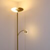 Cazis Lámpara de Pie LED Latón, 1 luz
