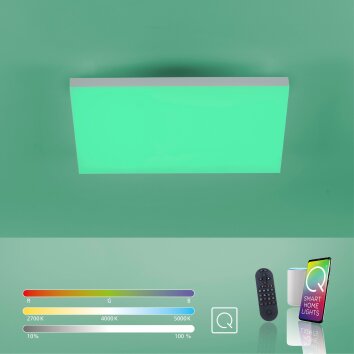 Paul Neuhaus Q-FLAG Lámpara de Techo LED Blanca, 1 luz, Mando a distancia, Cambia de color