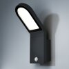 LEDVANCE ENDURA Aplique para exterior Negro, 1 luz, Sensor de movimiento