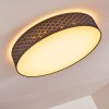 Temuka Lámpara de Techo LED Negro, Blanca, 1 luz, Mando a distancia