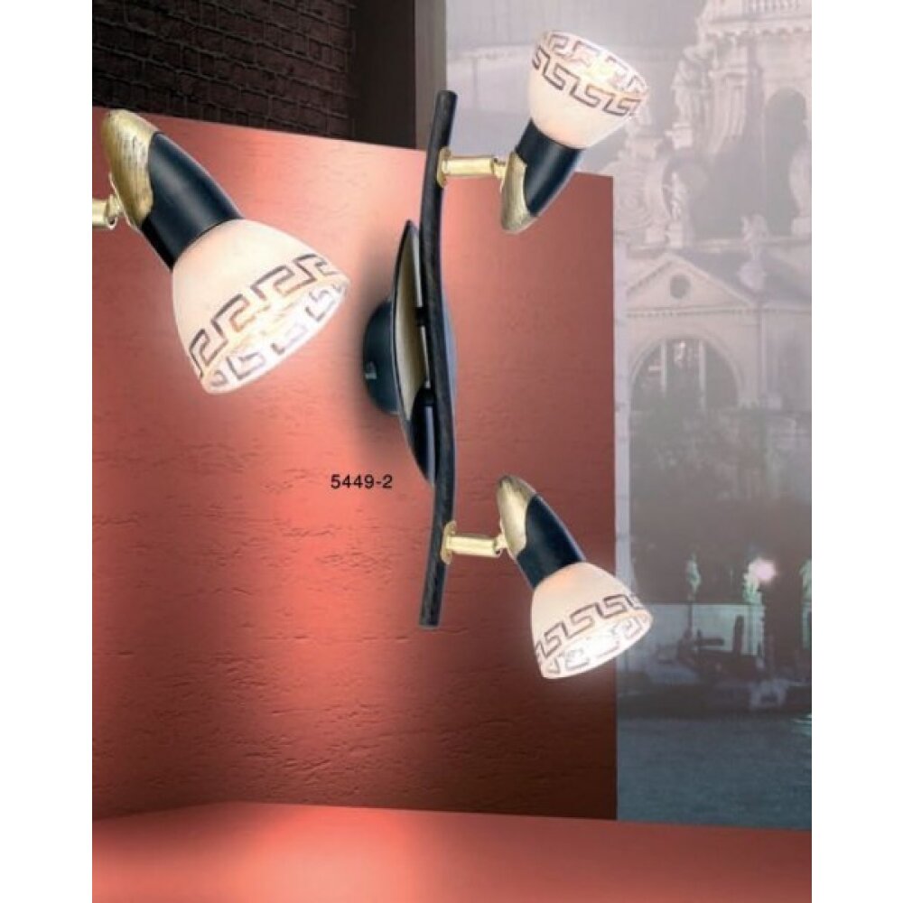 Globo NOVARA Proyector dorado, Negro, 2 luces main product photo