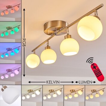Motala Lámpara de Techo LED Níquel-mate, 4 luces, Mando a distancia, Cambia de color