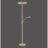 Paul Neuhaus MARTIN Lámpara de Pie LED Latón, 1 luz