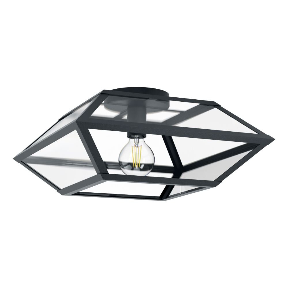 EGLO CASEFABRE Lámpara de Techo Negro, 1 luz main product photo