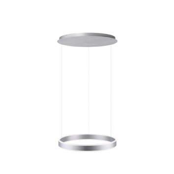 Paul Neuhaus ARINA Lámpara Colgante LED Acero inoxidable, 2 luces, Sensor de movimiento