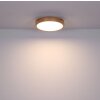 Globo WEDIO Lámpara de Techo LED, 1 luz, Mando a distancia