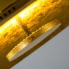 Nipissing Lámpara de techo LED dorado, 1 luz