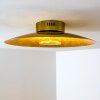 Nipissing Lámpara de techo LED dorado, 1 luz