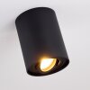 Betsie Lámpara de Techo Negro, 1 luz