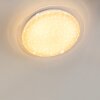 Bleik Lámpara de Techo LED Blanca, 1 luz, Mando a distancia