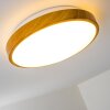 Sora Wood Lámpara de techo LED Madera clara, Blanca, 1 luz