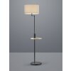 Lámpara de Pie Trio Leuchten CLAAS Negro, 1 luz