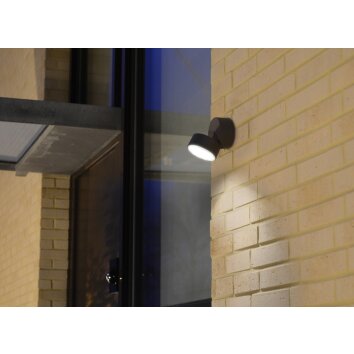 Lutec Trumpet Aplique para exterior LED Antracita, 1 luz