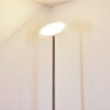 Wonsbek Lámpara de Pie LED Níquel-mate, 1 luz