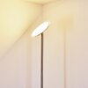 Wonsbek Lámpara de Pie LED Níquel-mate, 1 luz