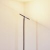 Wonsbek Lámpara de Pie LED Níquel-mate, 1 luz