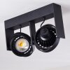 Grytgol Lámpara de Techo Negro, 2 luces