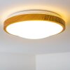 Sora Wood Lámpara de techo LED Madera clara, Blanca, 1 luz