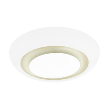 Eglo CANUMA Lámpara de Techo LED Blanca, 1 luz