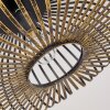 Oravi Lámpara de Techo Negro-dorado, 1 luz